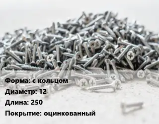 Шуруп с кольцом с кольцом 12х250 оцинкованный